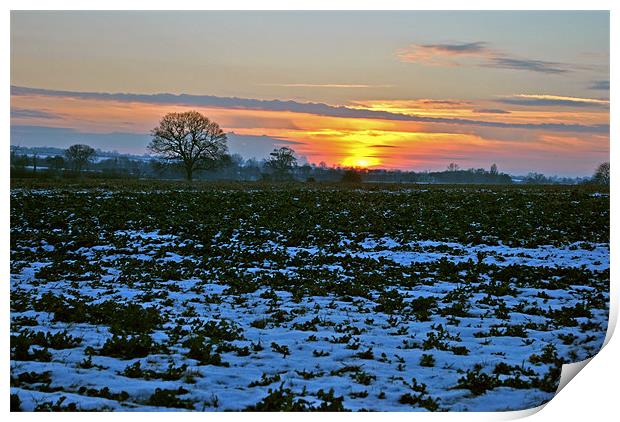 Winter Sunset Print by graham young