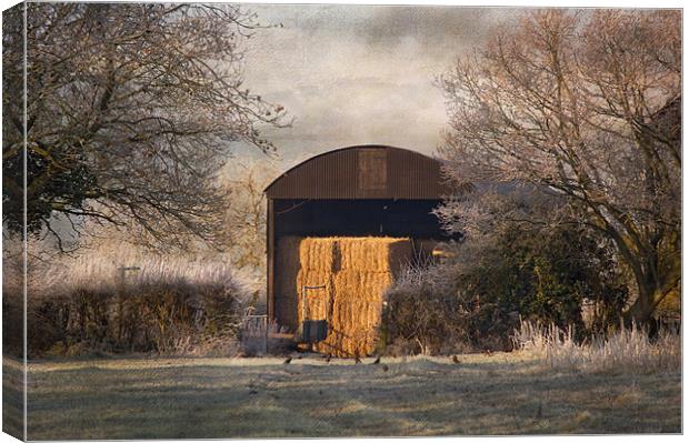 The old Hay Barn Canvas Print by Dawn Cox