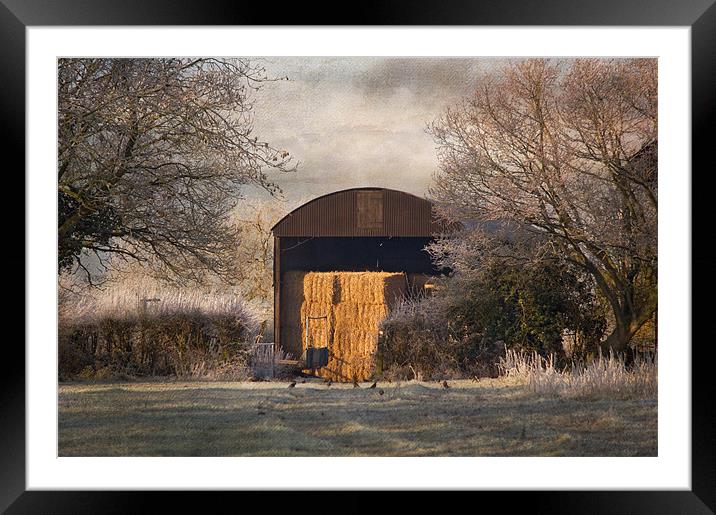 The old Hay Barn Framed Mounted Print by Dawn Cox