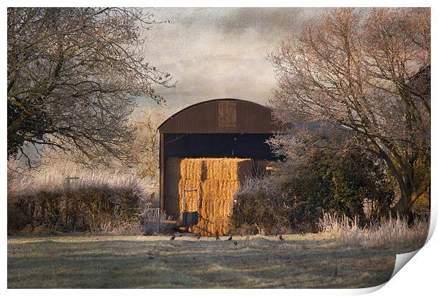 The old Hay Barn Print by Dawn Cox