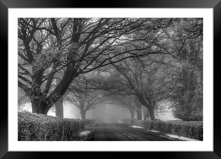 Misty Road Framed Mounted Print by Tracey Whitefoot