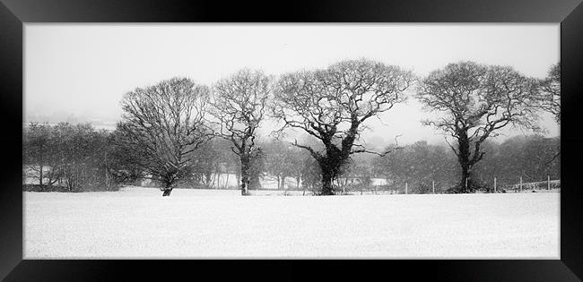Winters Come Framed Print by Simon West