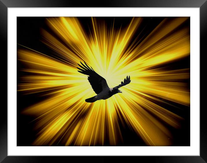 Quoth the Raven. Framed Mounted Print by Heather Goodwin