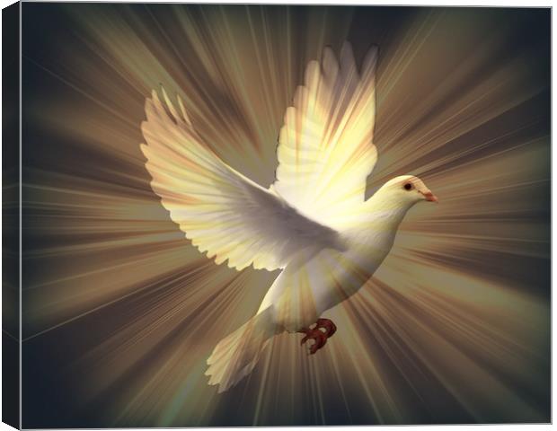 Dove of Peace. Canvas Print by Heather Goodwin