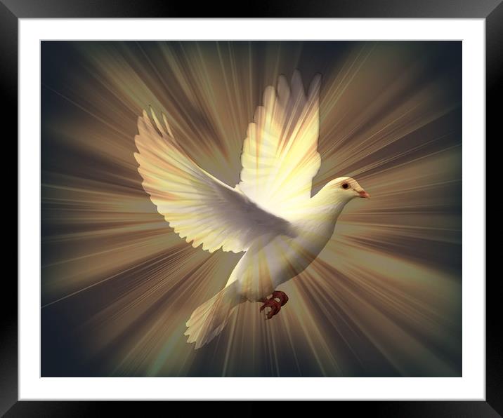 Dove of Peace. Framed Mounted Print by Heather Goodwin