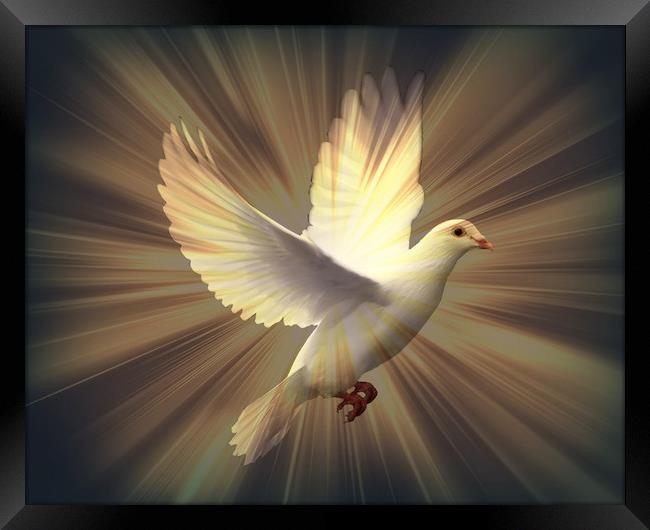 Dove of Peace. Framed Print by Heather Goodwin
