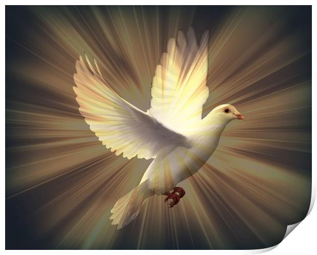 Dove of Peace. Print by Heather Goodwin