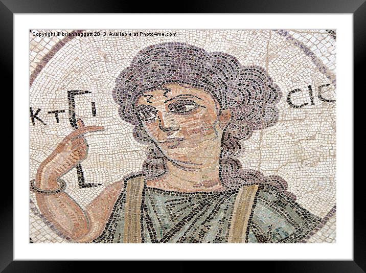 Roman Mosaic Paphos Cyprus Detail Framed Mounted Print by Brian  Raggatt