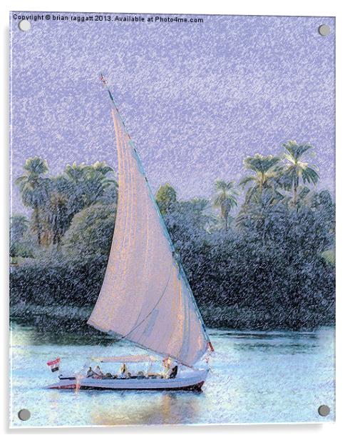 River Nile Ride Acrylic by Brian  Raggatt