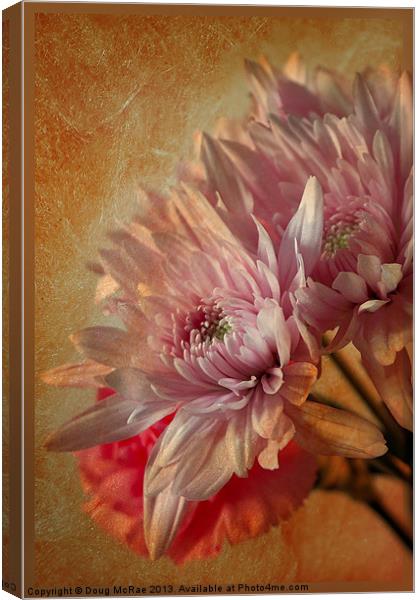 Chrysanthemums Canvas Print by Doug McRae