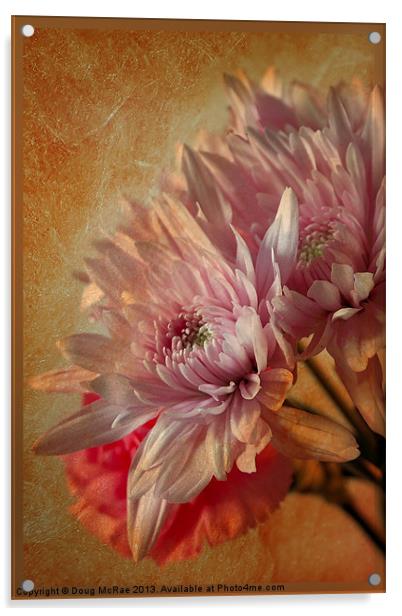 Chrysanthemums Acrylic by Doug McRae