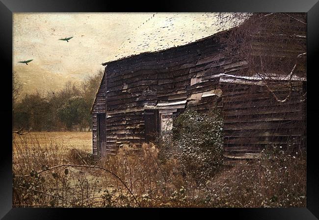 The Old Barn Framed Print by Dawn Cox