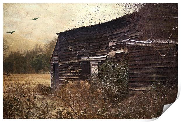 The Old Barn Print by Dawn Cox