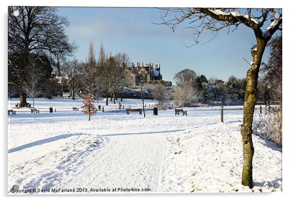 Wintery Lurgan Park Acrylic by David McFarland