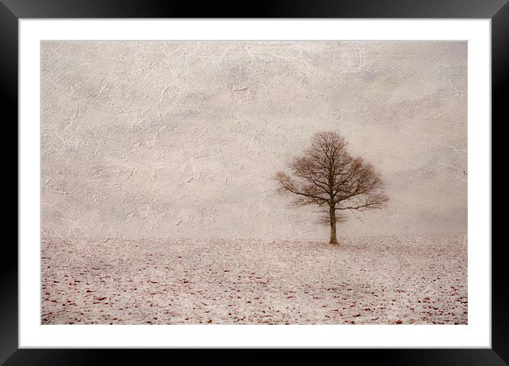 All alone Framed Mounted Print by Dawn Cox