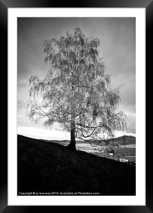 hillside birch tree Framed Mounted Print by Jo Beerens