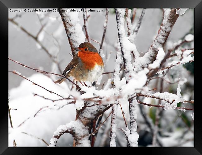 Robin in the snow Framed Print by Debbie Metcalfe