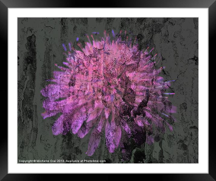 Textured Scabia Framed Mounted Print by Michelle Orai