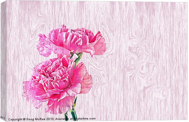 Carnations Canvas Print by Doug McRae