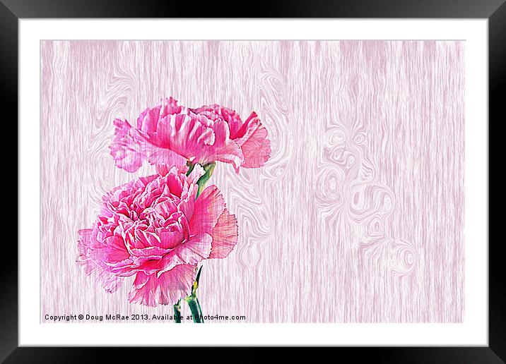 Carnations Framed Mounted Print by Doug McRae