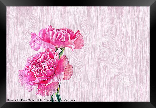 Carnations Framed Print by Doug McRae