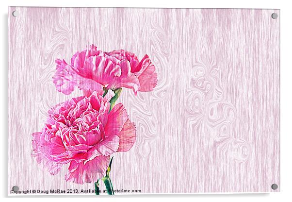 Carnations Acrylic by Doug McRae