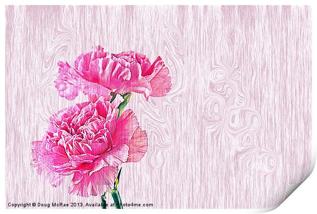 Carnations Print by Doug McRae
