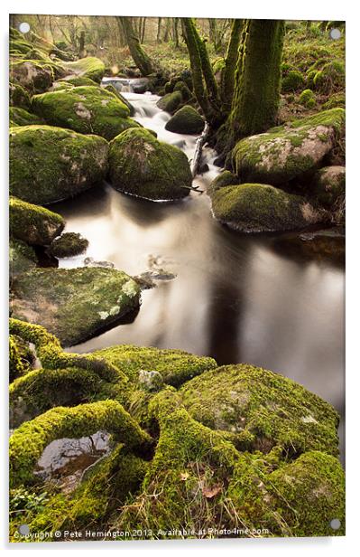 Becka Brook - Dartmoor Acrylic by Pete Hemington