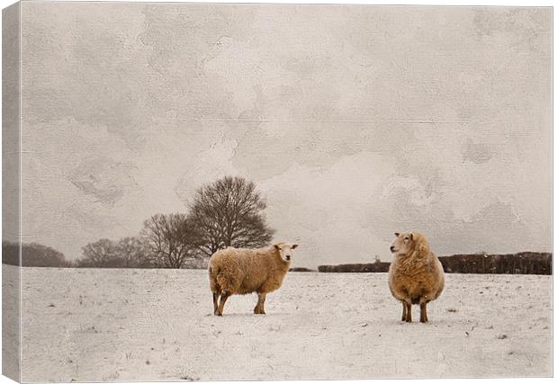 Great time for thick coats Canvas Print by Dawn Cox