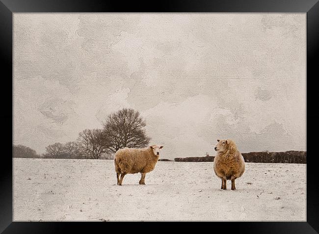 Great time for thick coats Framed Print by Dawn Cox