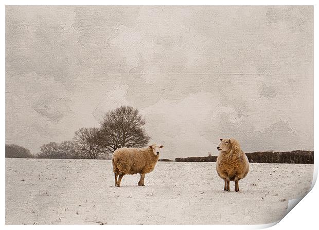 Great time for thick coats Print by Dawn Cox