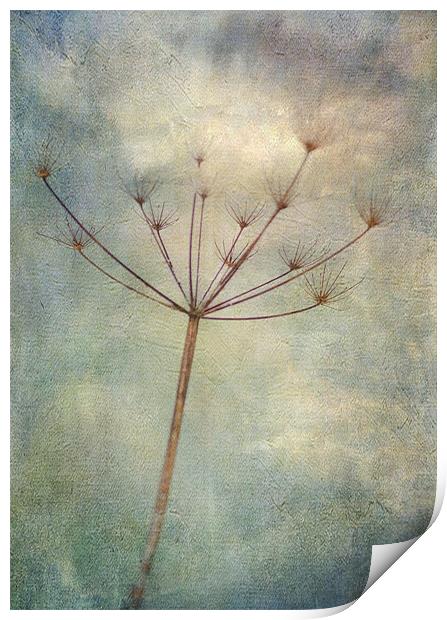 carried on the wind Print by Dawn Cox