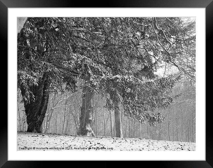 Winter Trees Framed Mounted Print by michelle whitebrook