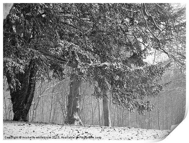 Winter Trees Print by michelle whitebrook