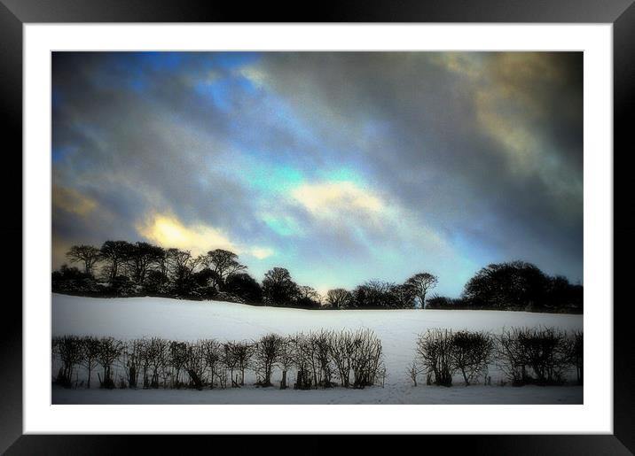 deep freeze Framed Mounted Print by dale rys (LP)