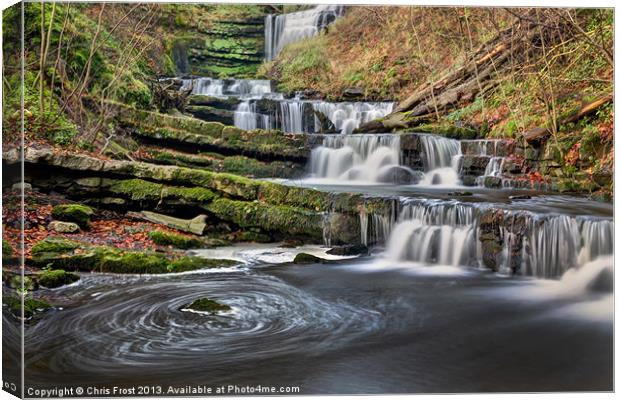 Scaleber Force Stepping Stones Canvas Print by Chris Frost