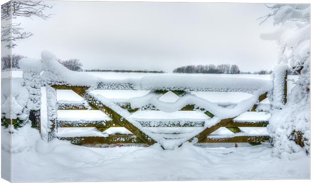 Snowy Gate Canvas Print by Mike Gorton