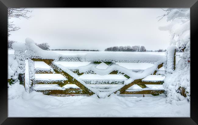 Snowy Gate Framed Print by Mike Gorton