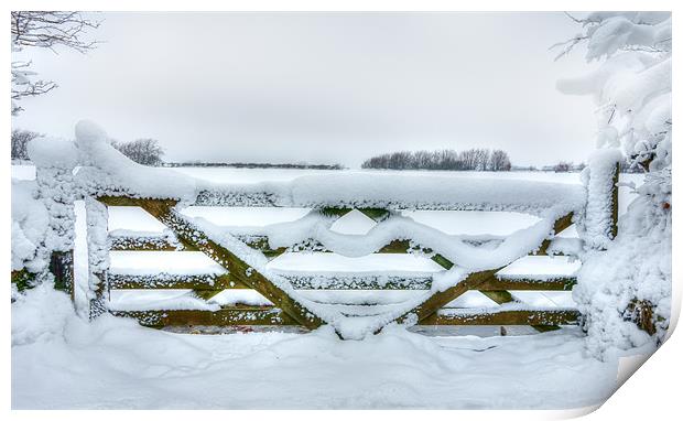 Snowy Gate Print by Mike Gorton