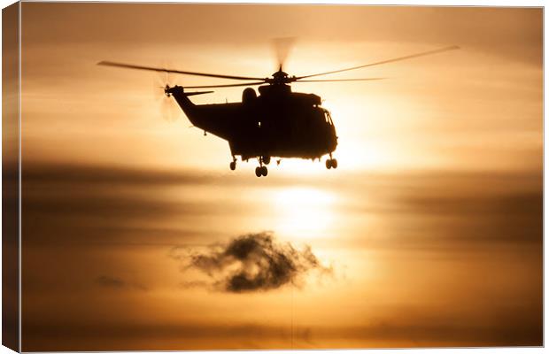 Seaking helicopter Canvas Print by Gail Johnson