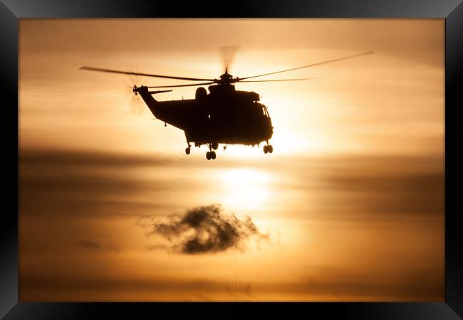 Seaking helicopter Framed Print by Gail Johnson