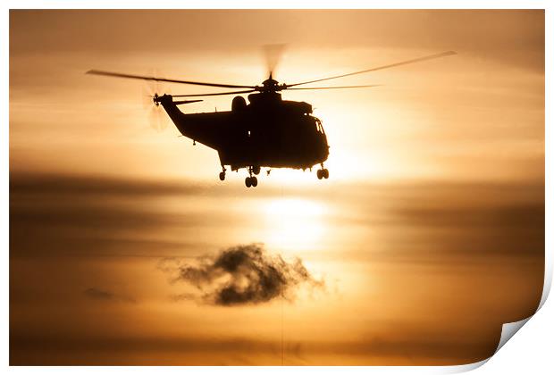 Seaking helicopter Print by Gail Johnson