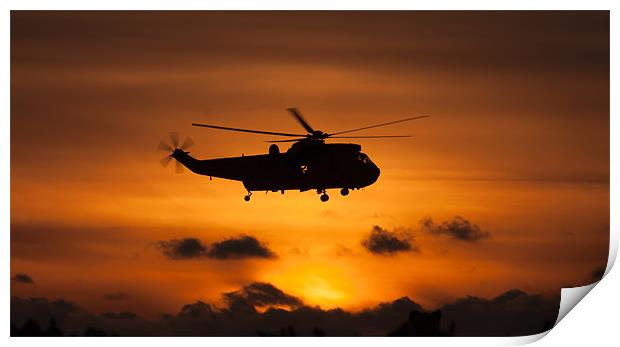 Seaking helicopter Print by Gail Johnson