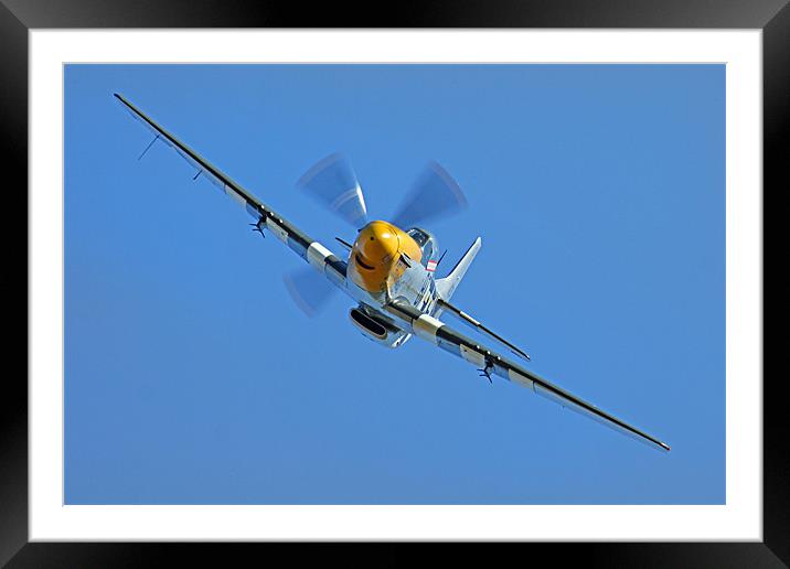 P51 Mustang head on Framed Mounted Print by Oxon Images