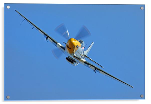 P51 Mustang head on Acrylic by Oxon Images
