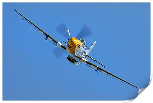 P51 Mustang head on Print by Oxon Images
