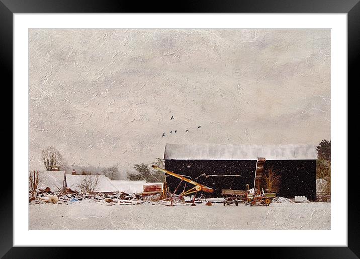 Covered in snow Framed Mounted Print by Dawn Cox
