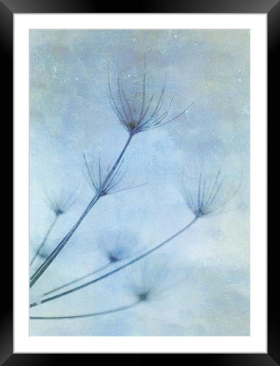 Deeper shade of blue Framed Mounted Print by Dawn Cox