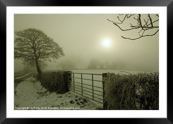 Misty morning Framed Mounted Print by Ian Purdy