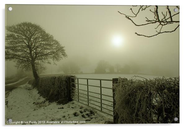 Misty morning Acrylic by Ian Purdy